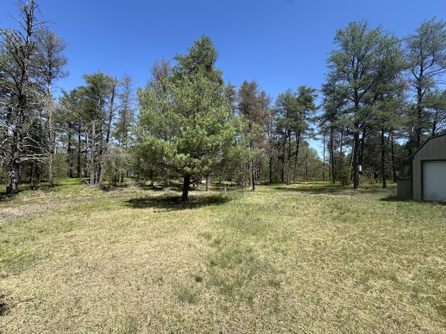 269 Dixson Dr, Grayling, MI 49738 - view of green lawn