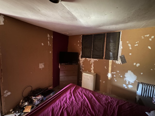 269 Dixson Dr, Grayling, MI 49738 - bedroom featuring radiator