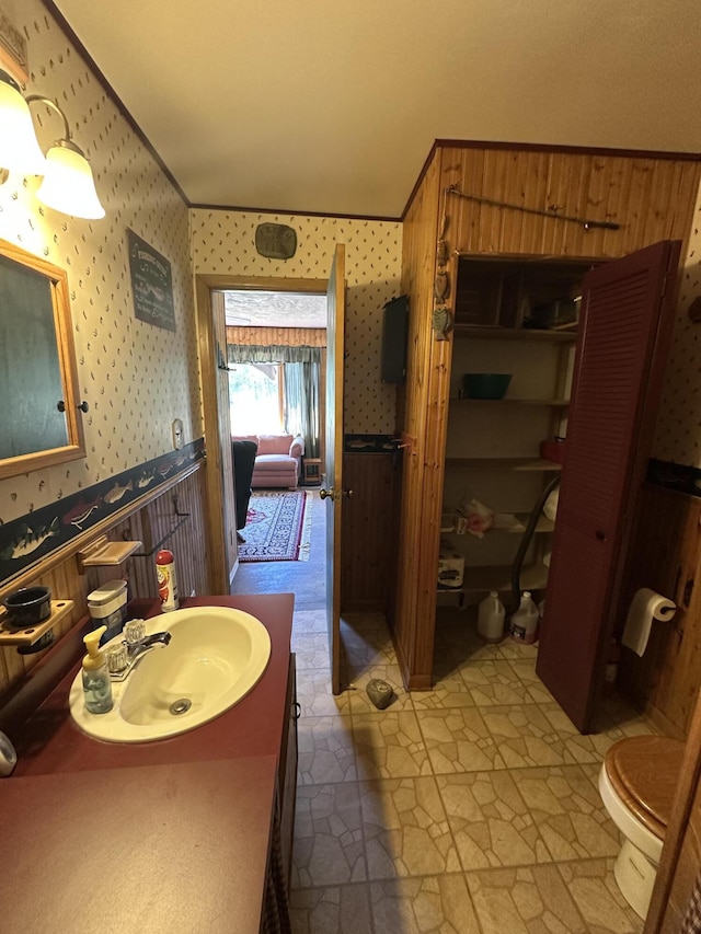 269 Dixson Dr, Grayling, MI 49738 - bathroom with wallpapered walls, stone finish floors, toilet, and vanity