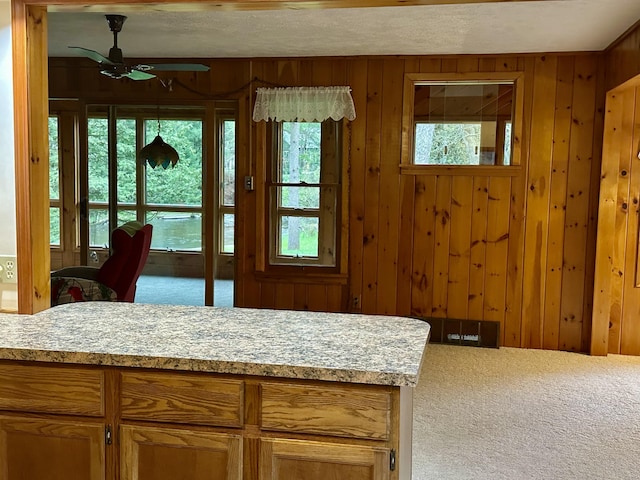370 W Park Dr, Grayling, MI 49738 - kitchen featuring carpet flooring, ceiling fan, light countertops, and wooden walls