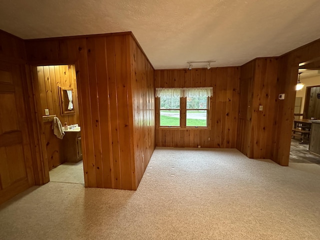 370 W Park Dr, Grayling, MI 49738 - spare room featuring wood walls, carpet floors, and a textured ceiling