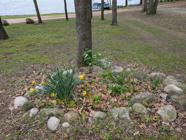 6876 Shoreline Dr, Atlanta, MI 49709 - photo 39