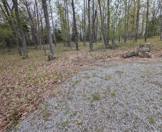 6876 Shoreline Dr, Atlanta, MI 49709 - photo 74