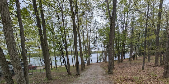 6876 Shoreline Dr, Atlanta, MI 49709 - photo 75