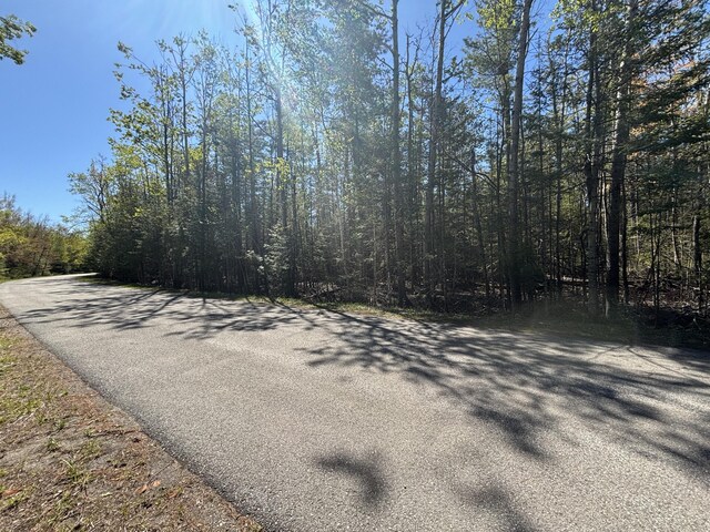 16905 E Norwood Ct, Presque Isle, MI 49777 - photo 3