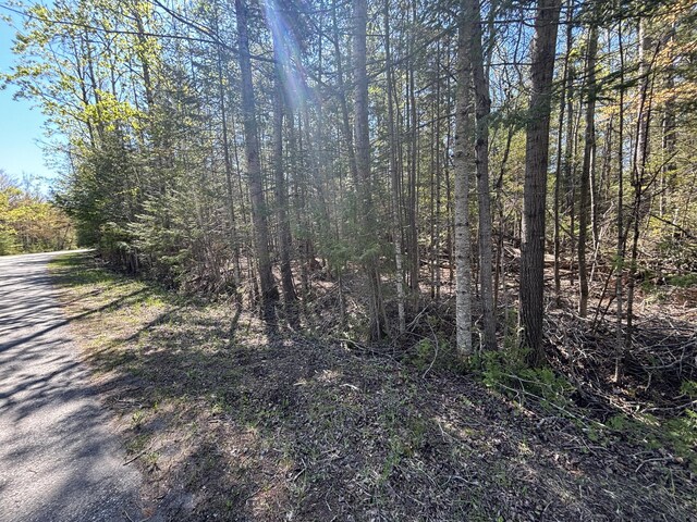 16905 E Norwood Ct, Presque Isle, MI 49777 - photo 9