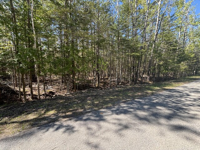 16905 E Norwood Ct, Presque Isle, MI 49777 - photo 4