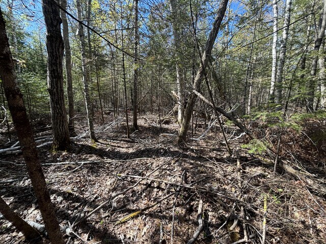 16905 E Norwood Ct, Presque Isle, MI 49777 - photo 12