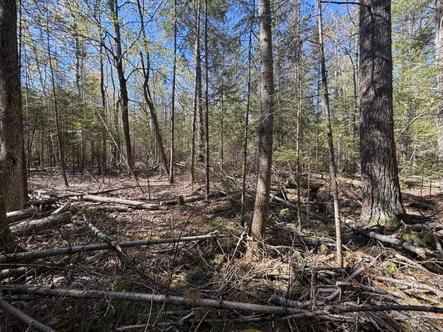 16905 E Norwood Ct, Presque Isle, MI 49777 - photo 15