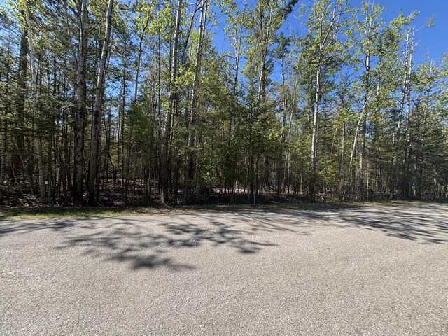 16905 E Norwood Ct, Presque Isle, MI 49777 - photo 6