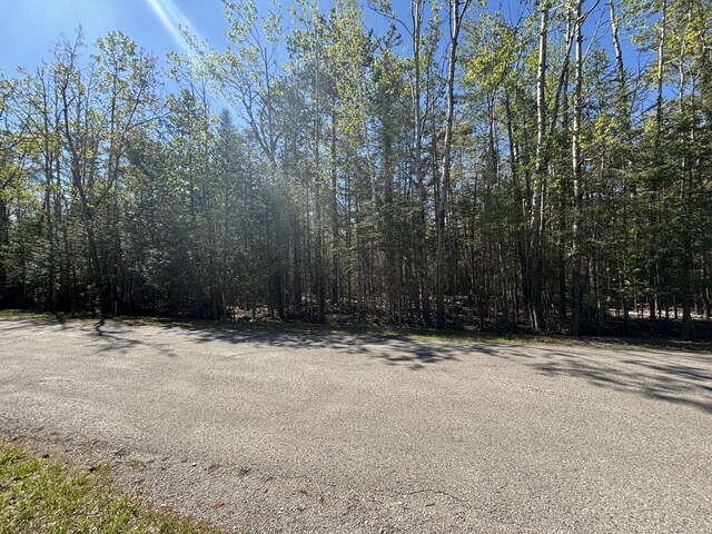 16905 E Norwood Ct, Presque Isle, MI 49777 - photo 5