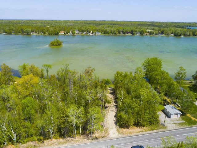 Hodgetts Dr, Presque Isle, MI 49777 - photo 3
