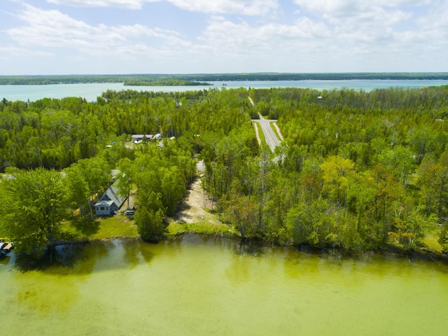 Hodgetts Dr, Presque Isle, MI 49777 - photo 4