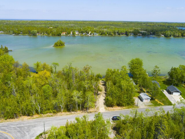 Hodgetts Dr, Presque Isle, MI 49777 - photo 6