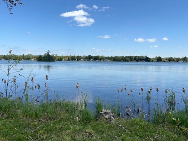 Hodgetts Dr, Presque Isle, MI 49777 - photo 8
