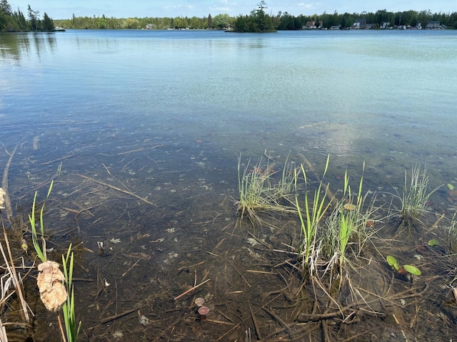 Hodgetts Dr, Presque Isle, MI 49777 - photo 9