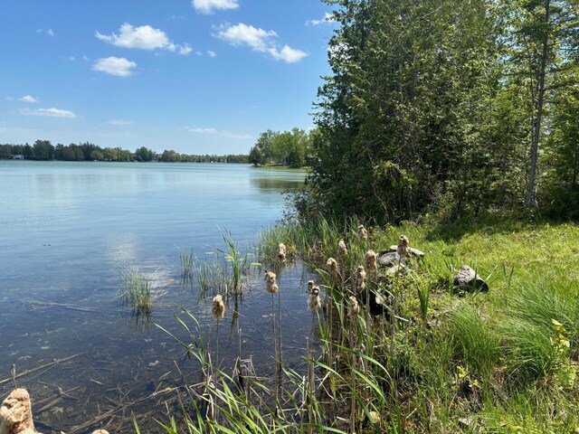 Hodgetts Dr, Presque Isle, MI 49777 - photo 11
