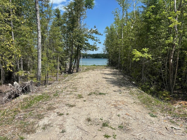 Hodgetts Dr, Presque Isle, MI 49777 - photo 13