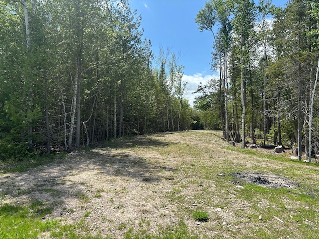 Hodgetts Dr, Presque Isle, MI 49777 - photo 14