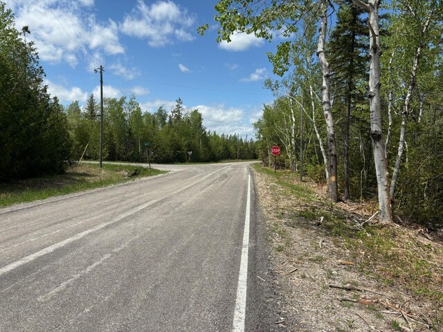 Hodgetts Dr, Presque Isle, MI 49777 - photo 16