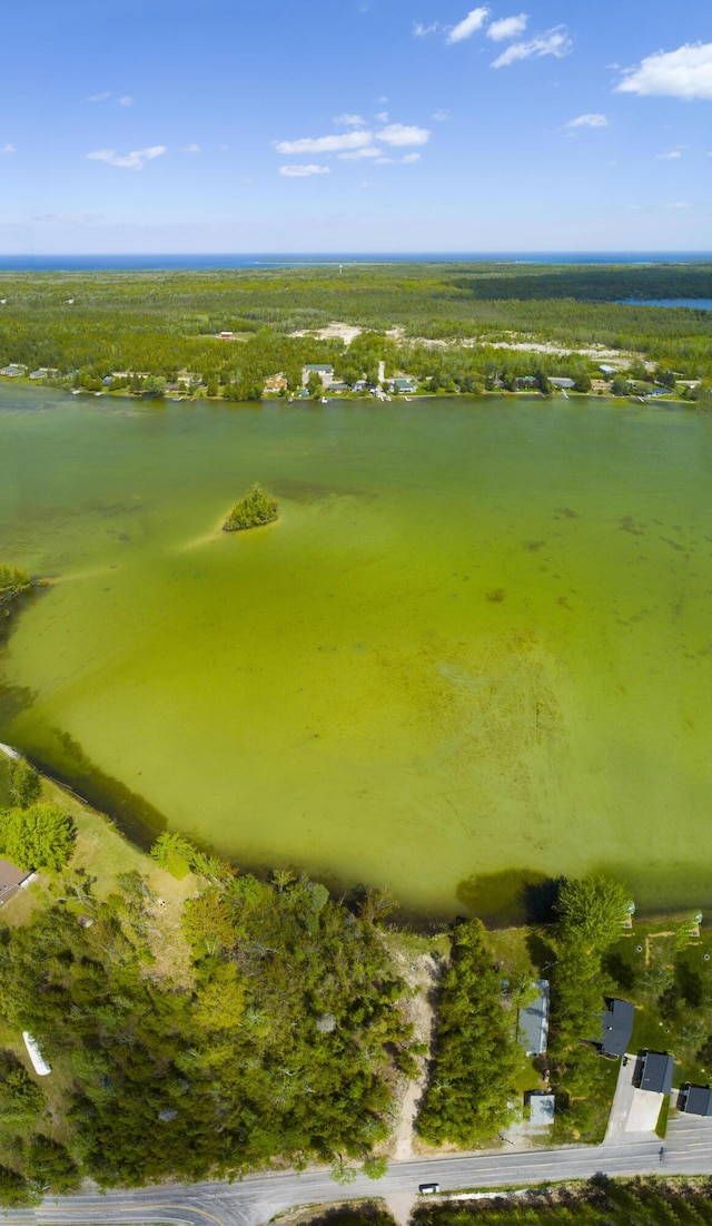 Hodgetts Dr, Presque Isle, MI 49777 - photo 19
