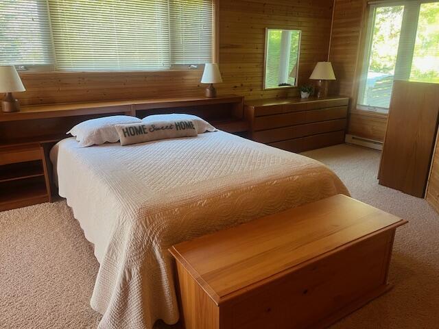 3199 S Lake Shore Dr, Bois Blanc, MI 49775 - bedroom with a baseboard radiator, light carpet, and wood walls