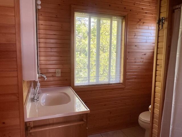 3199 S Lake Shore Dr, Bois Blanc, MI 49775 - bathroom featuring toilet, wood walls, vanity, and tile patterned floors