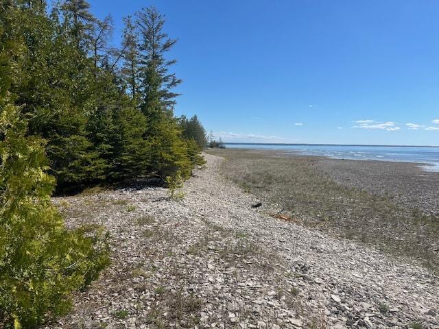 3199 S Lake Shore Dr, Bois Blanc, MI 49775 - water view