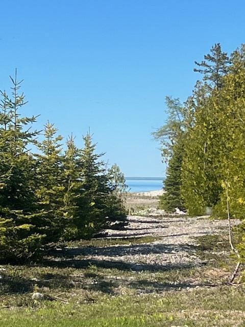 3199 S Lake Shore Dr, Bois Blanc, MI 49775 - view of yard
