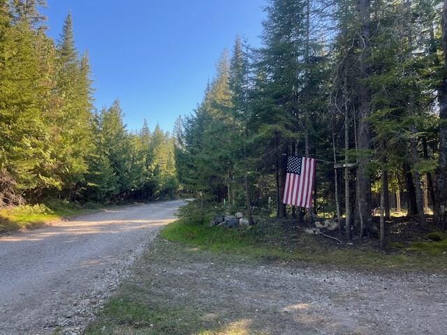 3199 S Lake Shore Dr, Bois Blanc, MI 49775 - view of dirt / gravel road with a wooded view