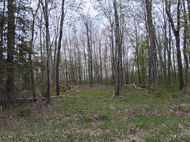 LOT230 Country Club Dr, Mancelona, MI 49659 - photo 3