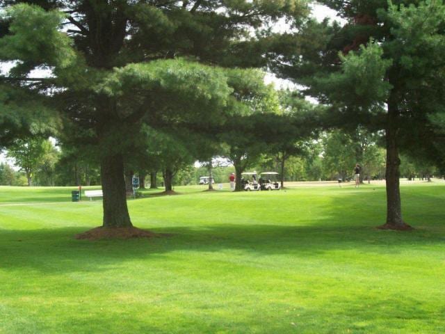 LOT230 Country Club Dr, Mancelona, MI 49659 - photo 8