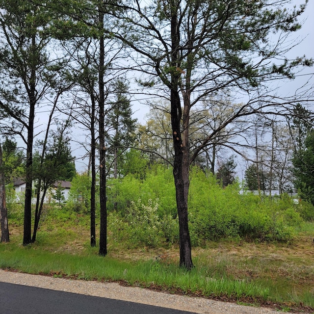 000 Palmento Rd, Saint Helen, MI 48656