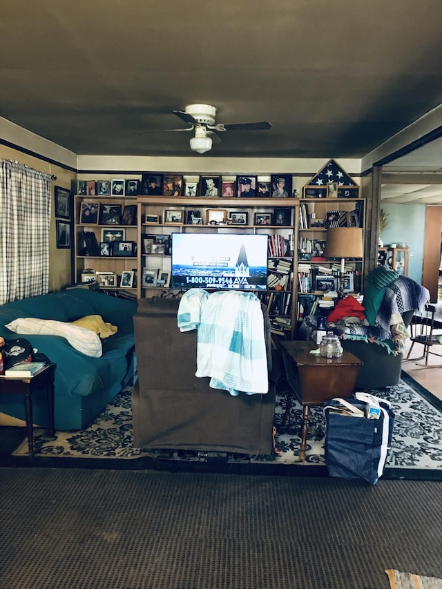 4541 Wills Rd, Lewiston, MI 49756 - misc room with ceiling fan and carpet