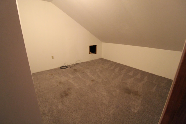 7844 Gilbert Trl, Grayling, MI 49738 - bonus room with lofted ceiling and carpet
