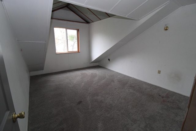 7844 Gilbert Trl, Grayling, MI 49738 - bonus room with lofted ceiling and carpet flooring