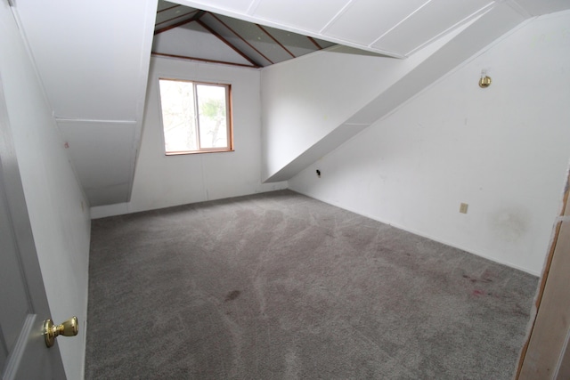 7844 Gilbert Trl, Grayling, MI 49738 - bonus room with lofted ceiling and carpet