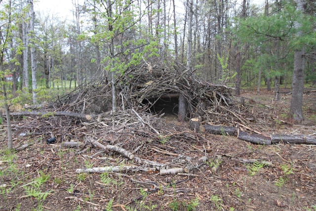 7844 Gilbert Trl, Grayling, MI 49738 - view of wooded area