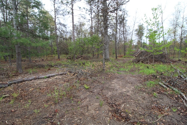 7844 Gilbert Trl, Grayling, MI 49738 - view of tree filled area