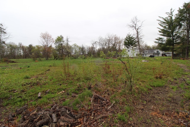 7844 Gilbert Trl, Grayling, MI 49738 - view of yard featuring a view of countryside
