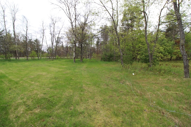7844 Gilbert Trl, Grayling, MI 49738 - view of yard