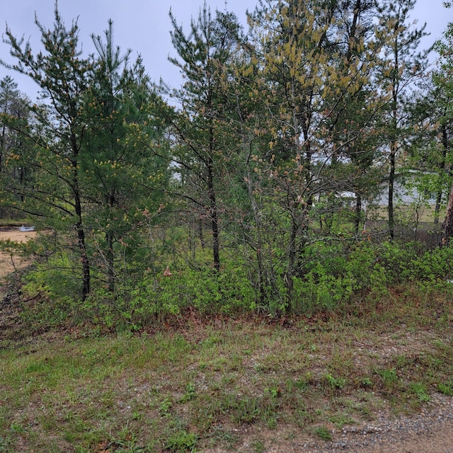 000 Sutherby Rd, Saint Helen, MI 48656