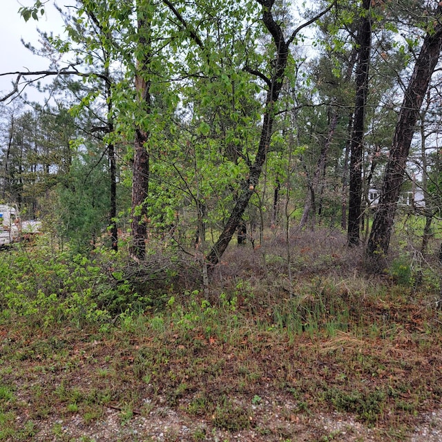 000 Sutherby Rd, Saint Helen, MI 48656