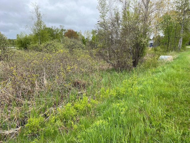 5 Elm Dr, West Branch, MI 48661 - photo 5