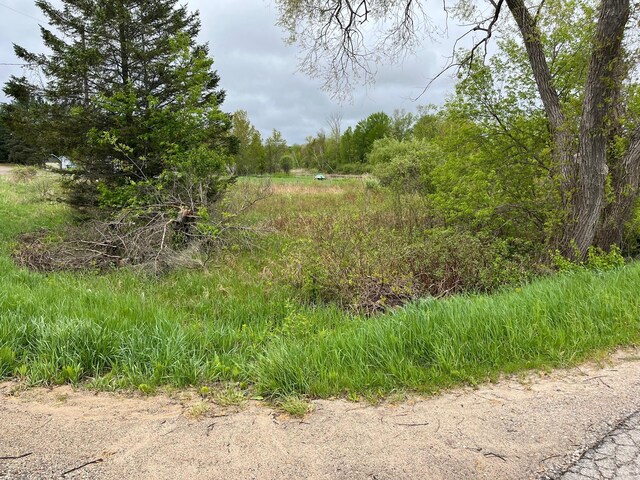 5 Elm Dr, West Branch, MI 48661 - photo 6