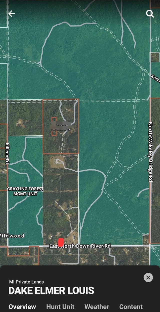 3357 E N Down River Rd, Grayling, MI 49738 - map / location
