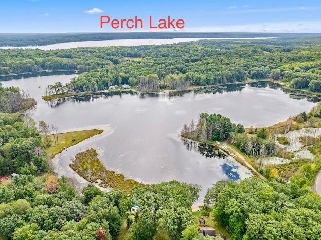 4323 E Vail Ln, Gaylord, MI 49735 - photo 3