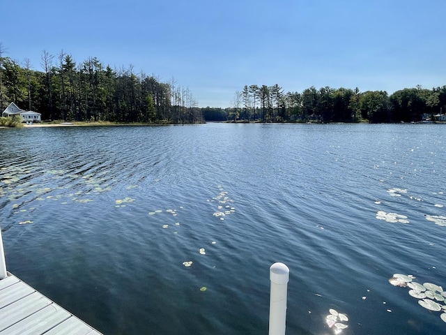 4323 E Vail Ln, Gaylord, MI 49735 - photo 8