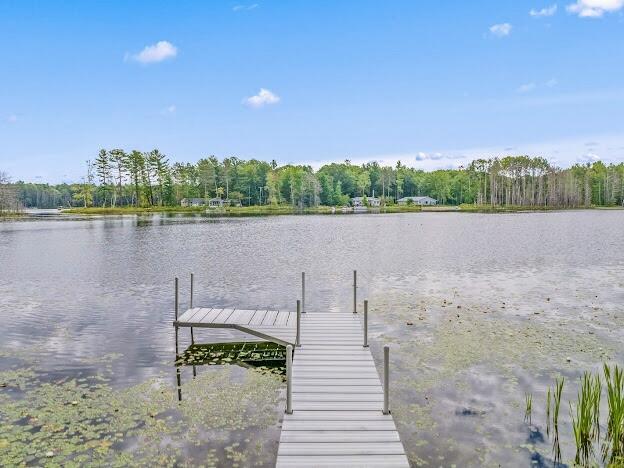4323 E Vail Ln, Gaylord, MI 49735 - photo 45