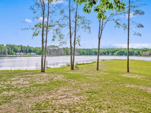 4323 E Vail Ln, Gaylord, MI 49735 - photo 46